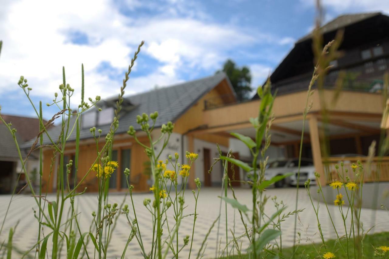 Chalet Zana بليد المظهر الخارجي الصورة
